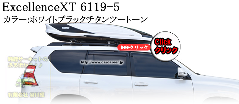 th6119-5