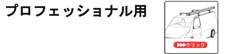 プロフェッショナルキャリア