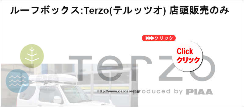 Terzo roofbox