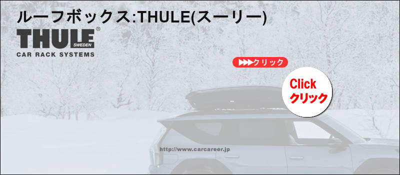 thule roofbox