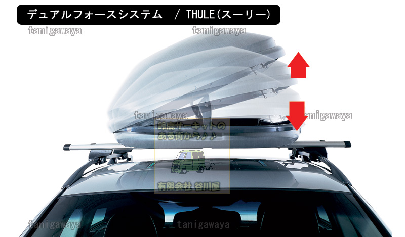 デュアルフォースシステム　thule