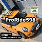 thule 598Proride