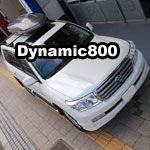 Dynamic800