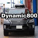 Dynamic800