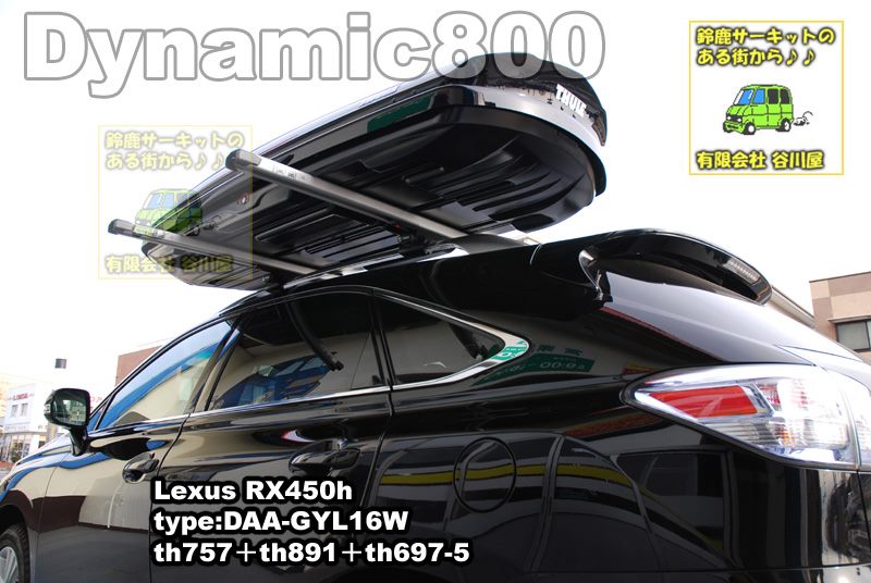 thule Dynamic800