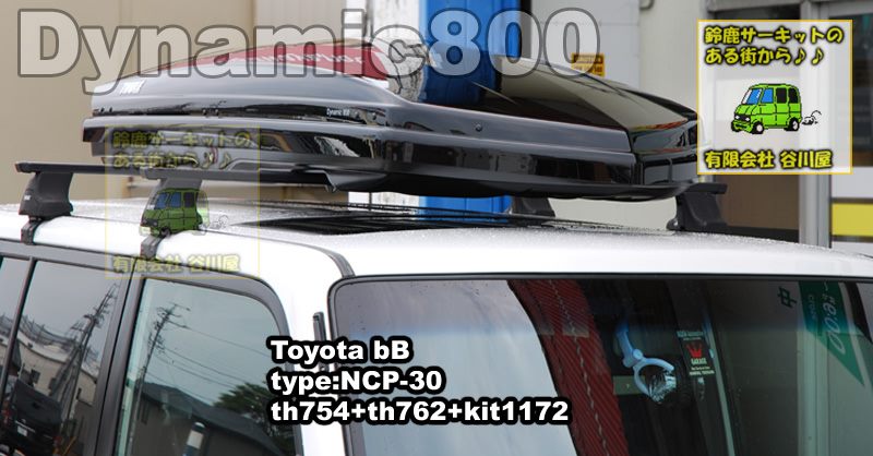 thule dynamic800