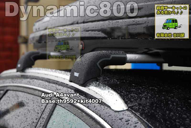 thule Dynamic800