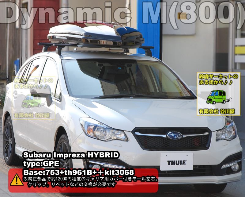 thule DynamicM