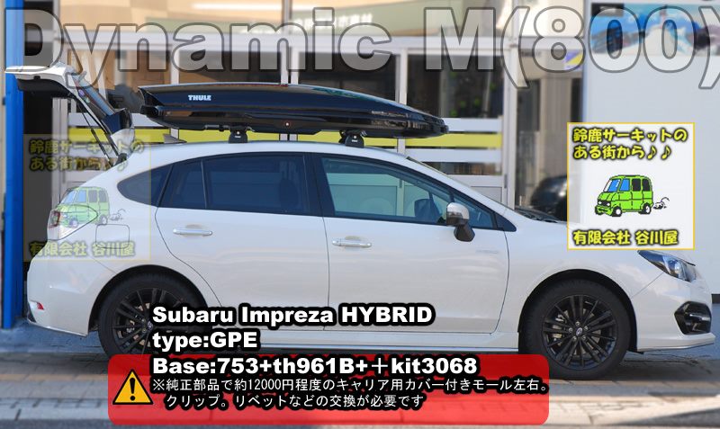 thule DynamicM