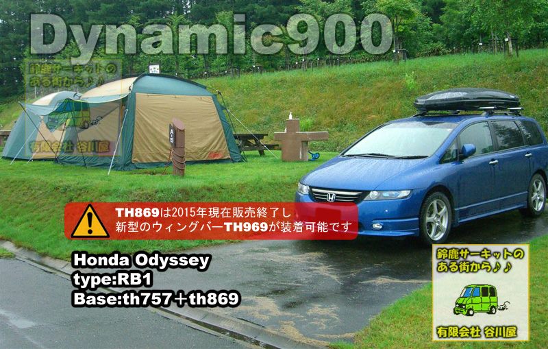 thule Dynamic900