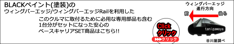 ブラック塗装ウィングバーのベースキャリアセット
