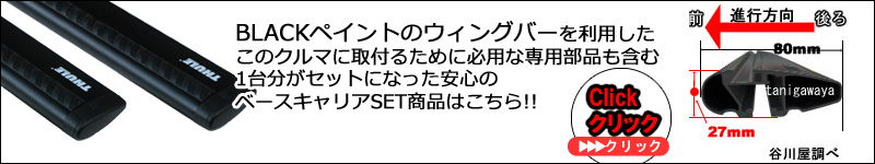 ブラックペイントのウィングバーのベースキャリアセット