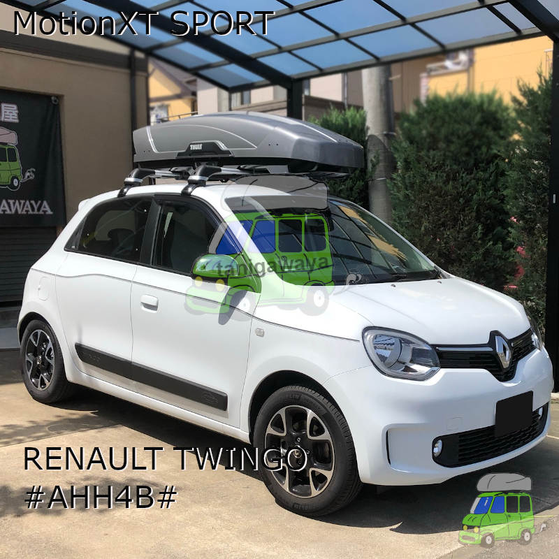 セザムテック製Runault Twingo　ルーフラック　トリコロール