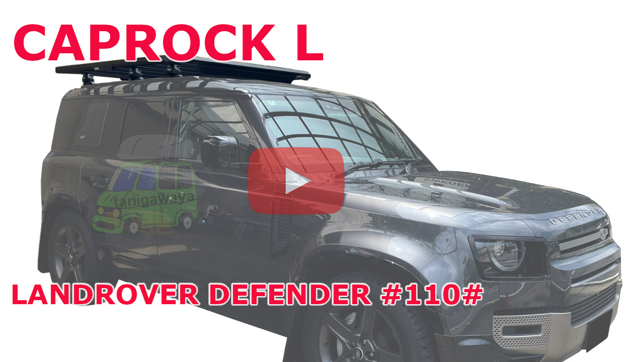 LANDROVER DEFENDER110