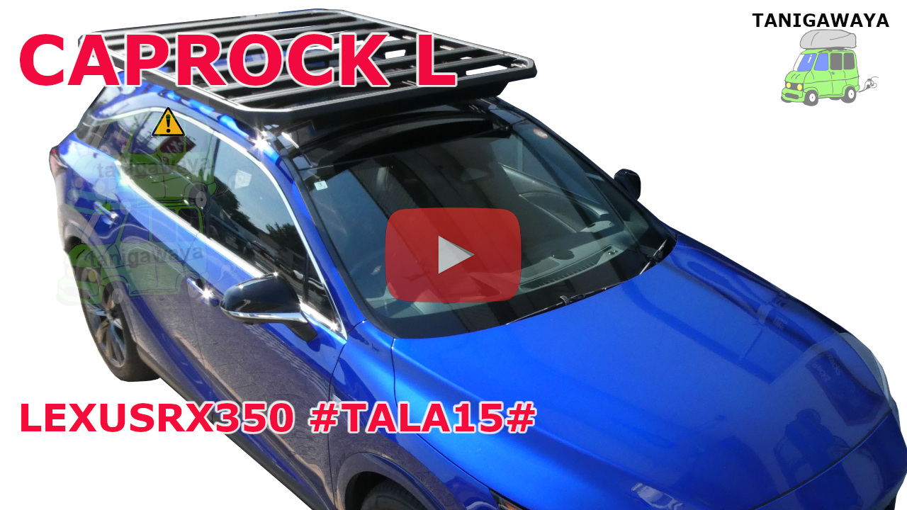 LEXUS RX350 #TALA15#