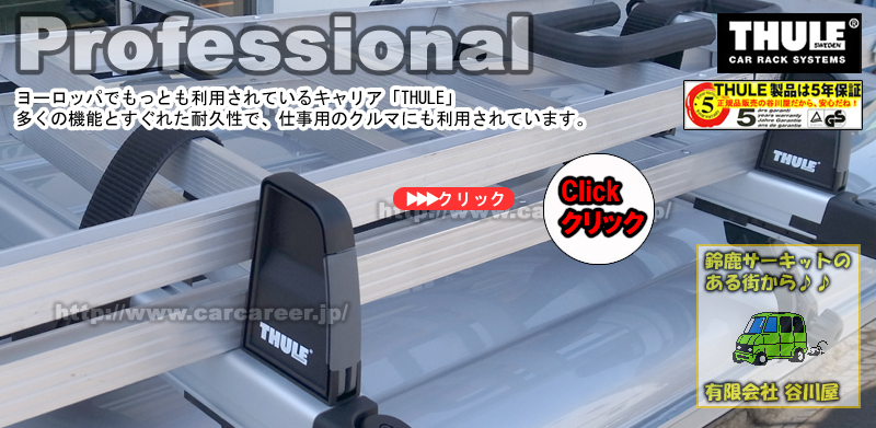 thule professional