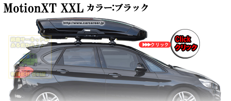 THULE DynamicM(800)