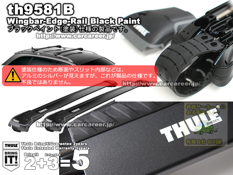 Thule スーリー　ペースキャリア　TH9581 B