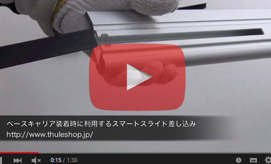 thule wingbar